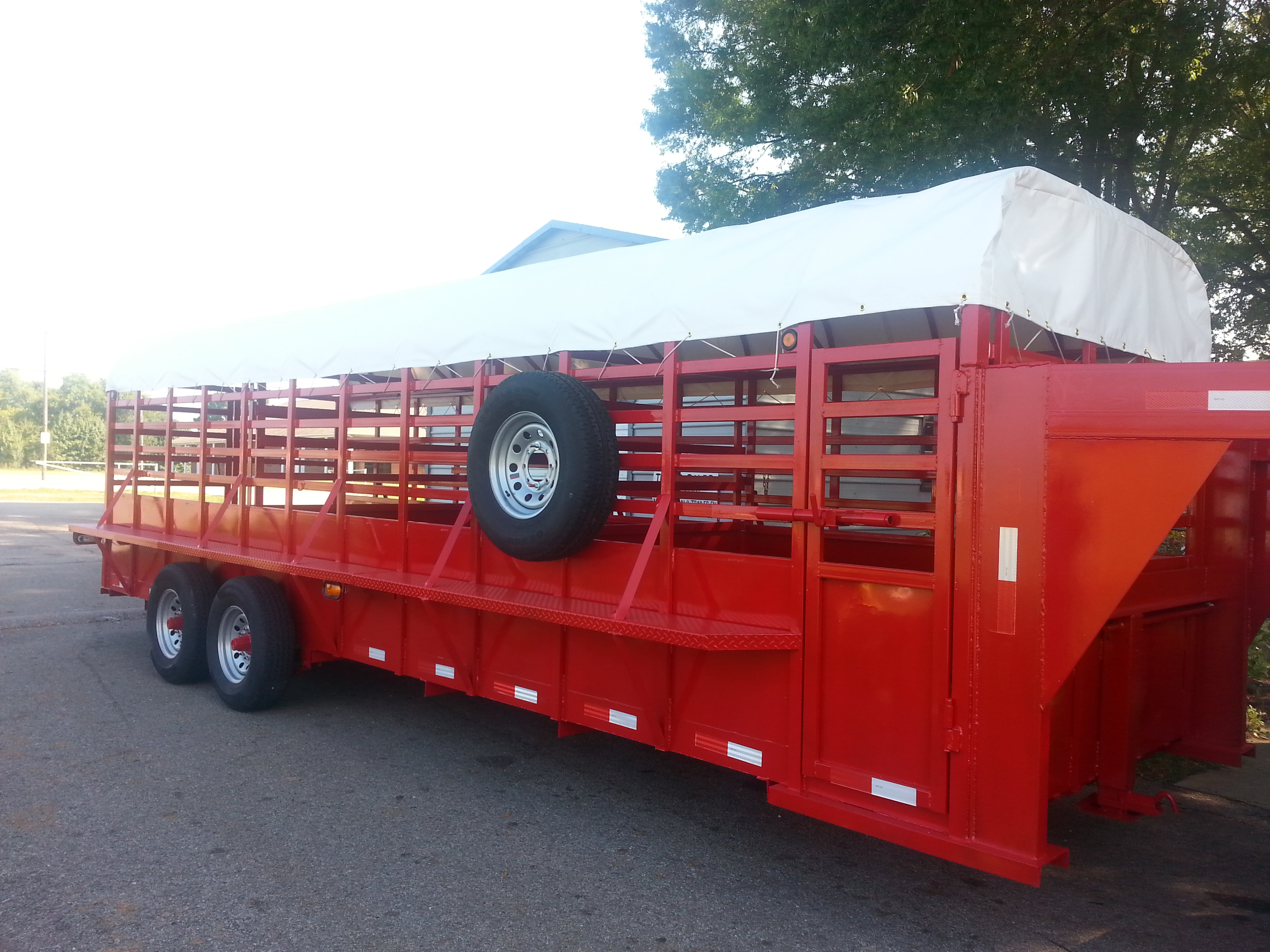 Stock options cattle sales